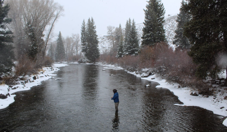 Five Effective Nymph Patterns for Winter Fly Fishing on the Taylor River’s C and R