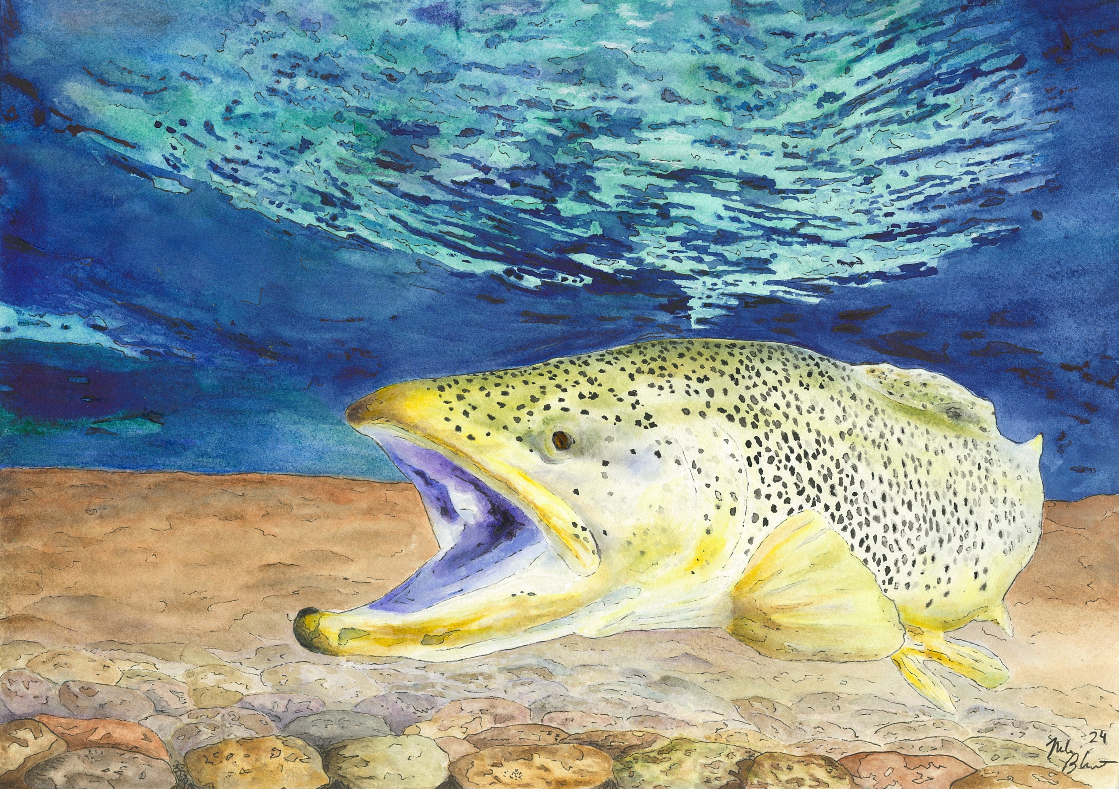 South Fork Sentinel – Brown Trout Pen & Watercolor Art Print (10×14) by Nolan Bluntzer